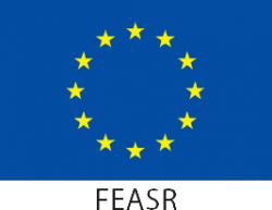 Logo FEASR