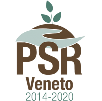 Logo PSR Veneto